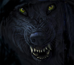 Hunter-wallpaper-10880668.jpg