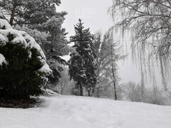 20181220_115219.jpg