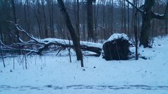 20181223_153538.jpg