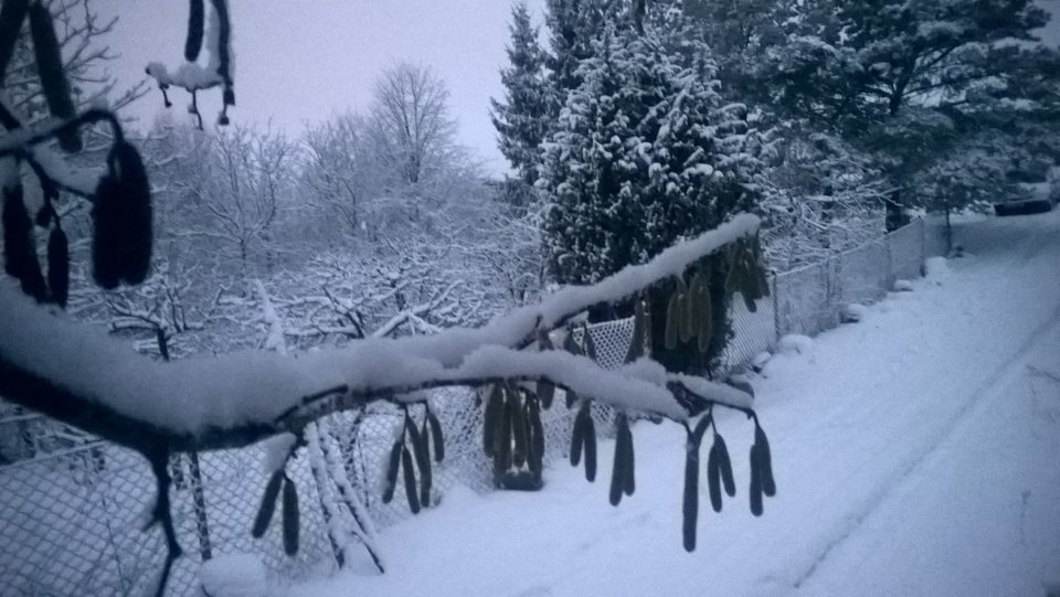 Idzie ku wiośnie - Ratl