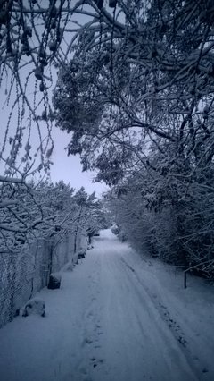 Śnieg po horyzont