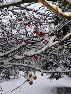 20181220_132113.jpg