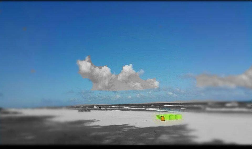 aviary-image-1545810503864.jpeg - PaweliRenia