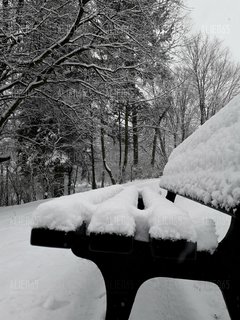 20181220_134806.jpg