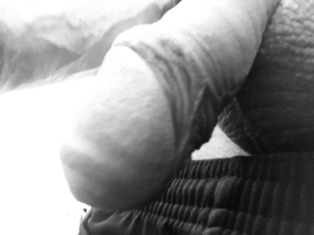 kamykpancio2463467