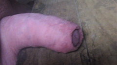 648_1000.jpg