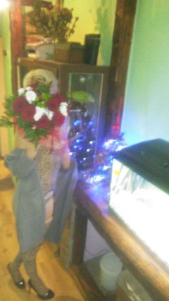 20181228_202943.jpg