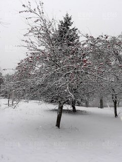 20181220_134344.jpg