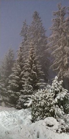 20181230_163855.jpg
