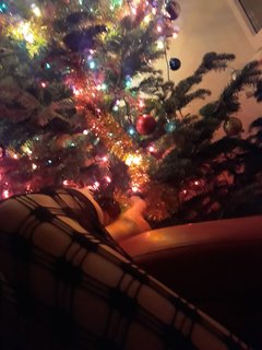20181231_022646.jpg