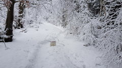 20181230_114938.jpg