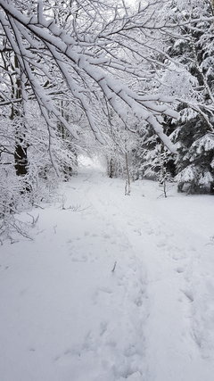 20181230_114856.jpg