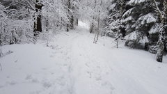 20181230_114903.jpg