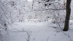 20181230_114935.jpg
