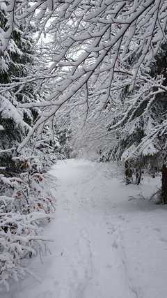20181230_114900.jpg