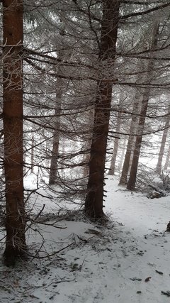 20181230_115702.jpg