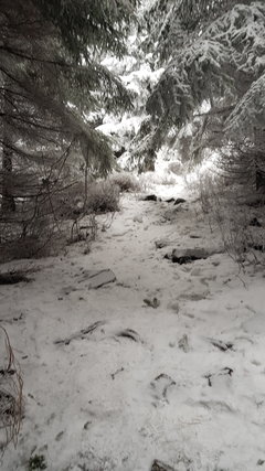 20181230_115659.jpg