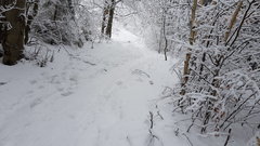 20181230_114920.jpg