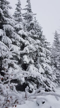 20181230_121523.jpg