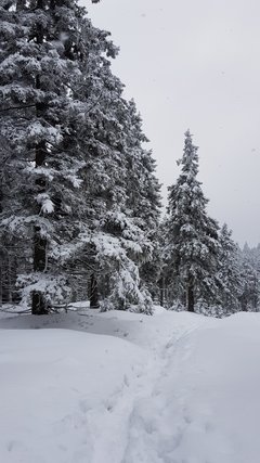 20181230_100435.jpg