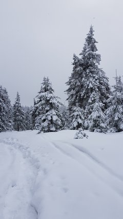 20181230_100400.jpg
