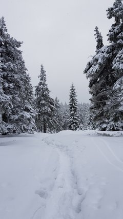 20181230_100429.jpg