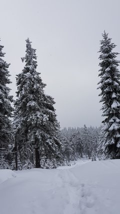 20181230_100445.jpg