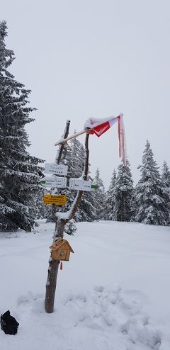 20181230_095810.jpg