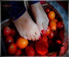 Tomato Feet 06