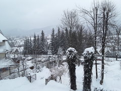 20190102_112914.jpg