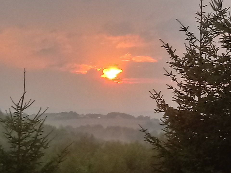 20180814_193223_HDR.jpg - maks1970