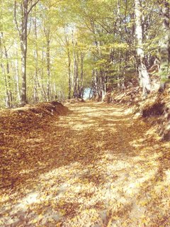 20181014_150808_Film4.jpg
