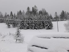 IMG-20181231-WA0003.jpg
