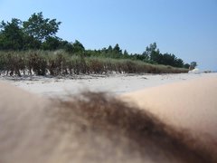 IS_IMG_8437.jpg