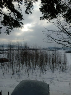 IMG_20190107_122451.jpg