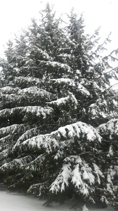 20190107_093155.jpg