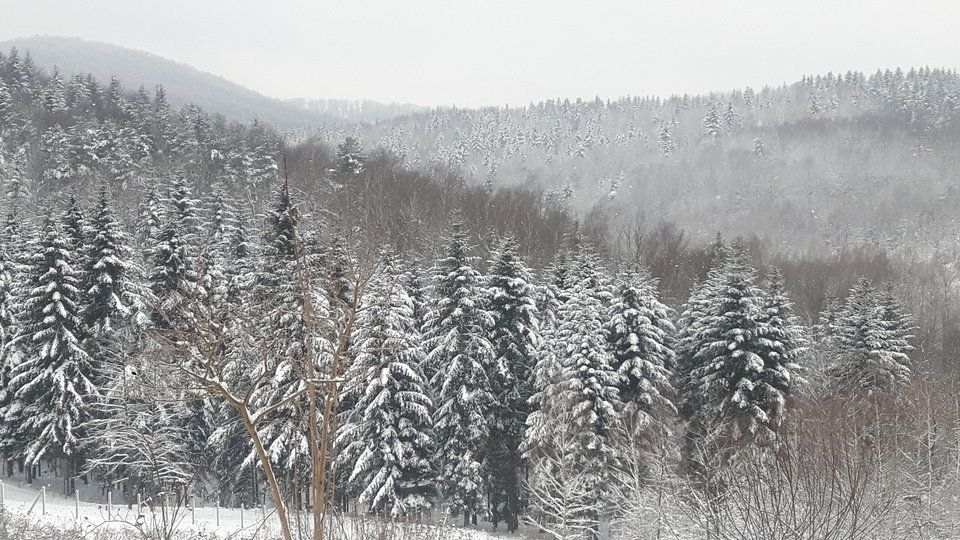 20190107_093220.jpg - maks1970