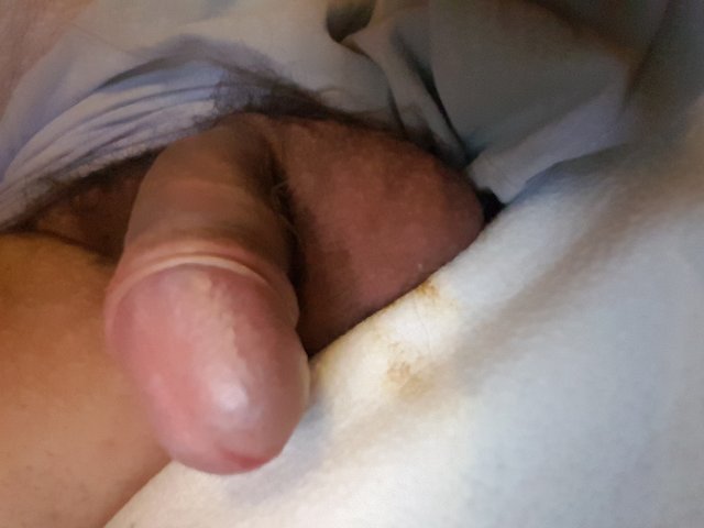 Bruni_73