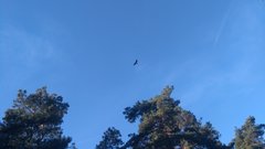 IMG_20180930_142525.jpg
