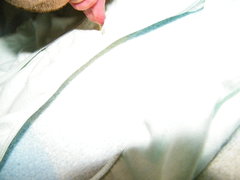 DSCF2452.JPG