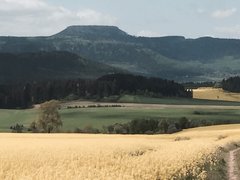 IMG_1020.JPG