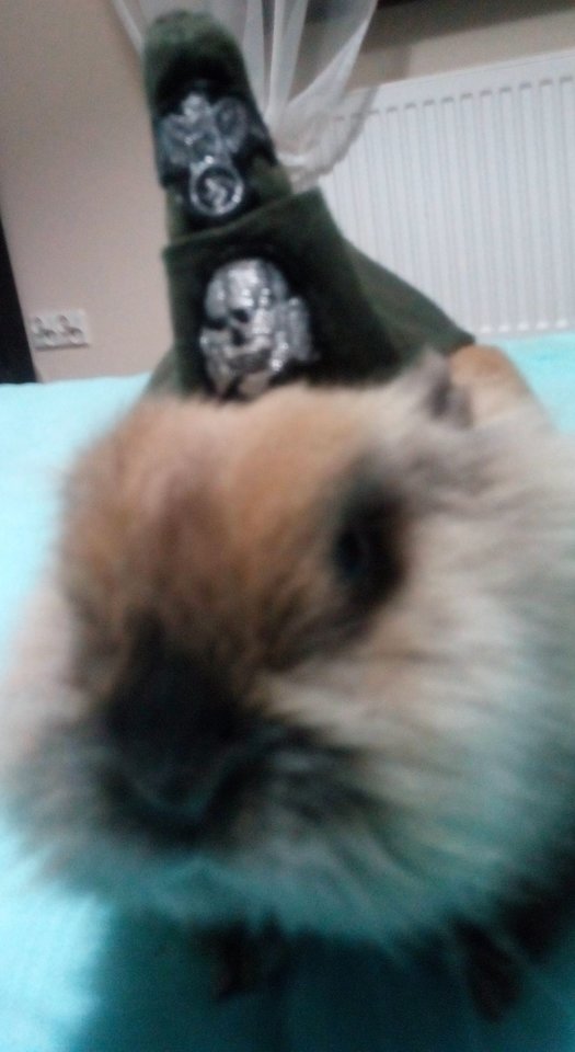 Nazistowska Bestia.jpg - eichman731
