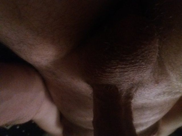 andrus018