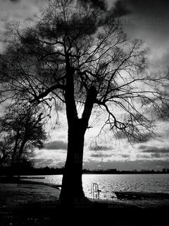 20190116_090659.jpg