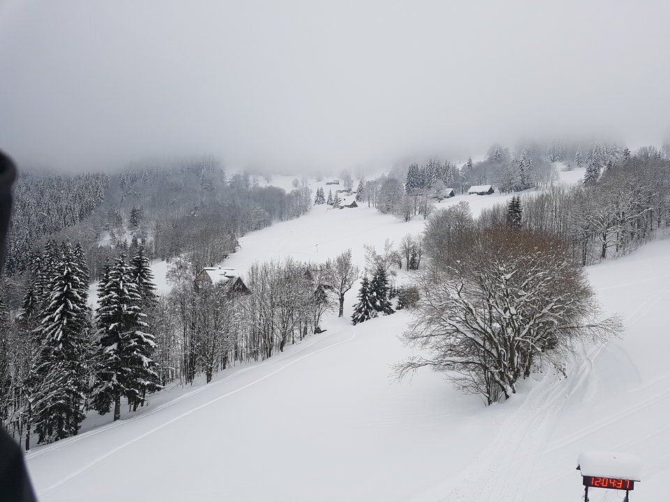 20190117_120503.jpg - Robertooooo73