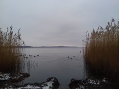 20190120_123053.jpg