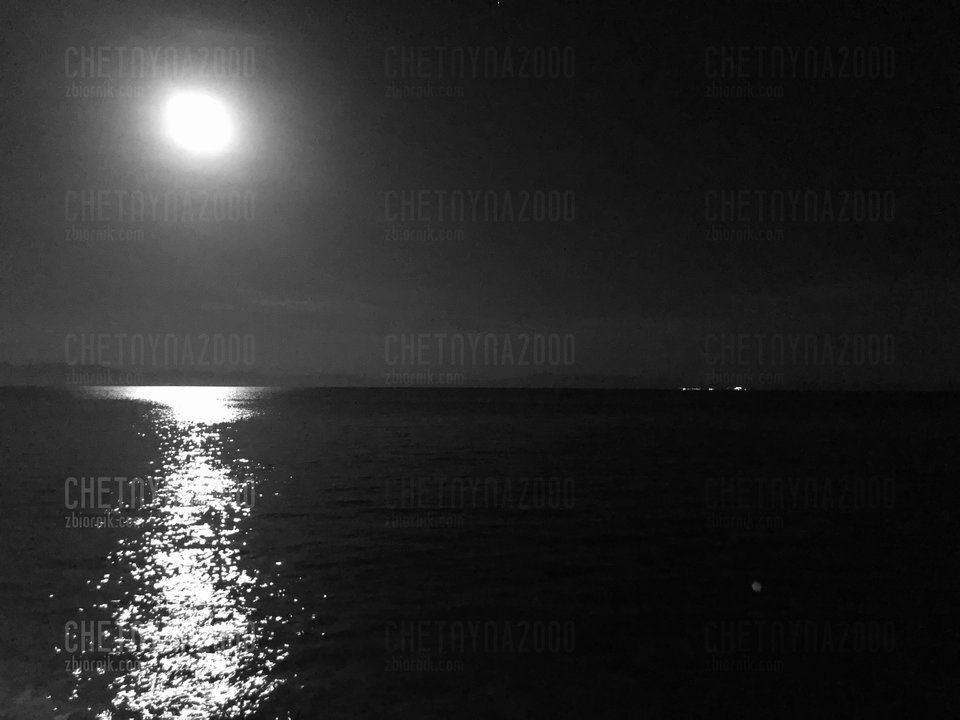 W nocy 🌑 wilkołaki nie śpią tylko buszuj.... 😈 - chetnyna2000