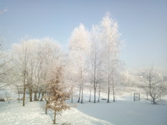 IMG_20190122_101341.jpg