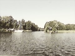 img1548308886051.jpg