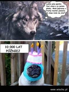 71f2c40d77dd7886b2f40cd27eead301.jpg